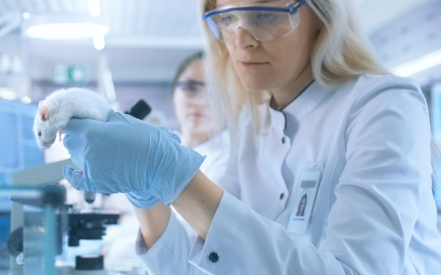 Mouse research