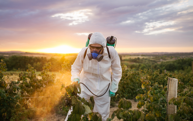 Pesticides could be linked to Parkinson's