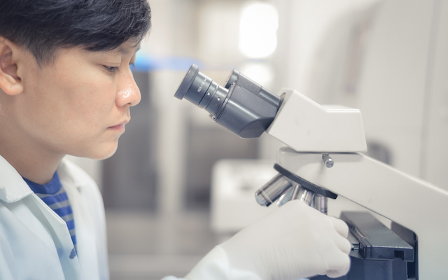 Stem cells
