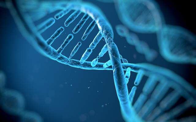DNA molecules genetic database
