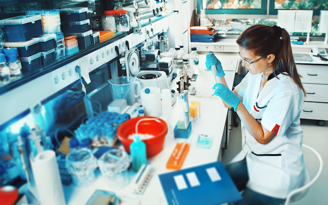 Scientist works in the lab