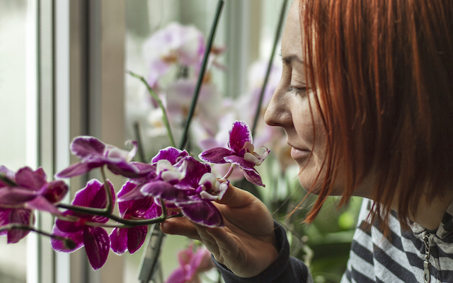 A woman smells a purple orchid.