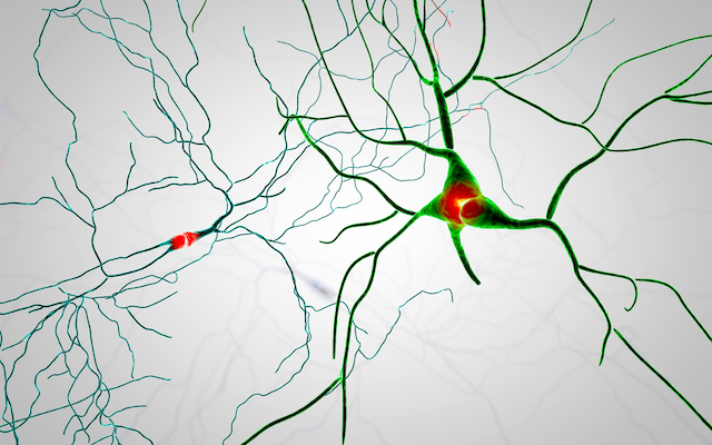 An abstract image of brain neuron pathways.