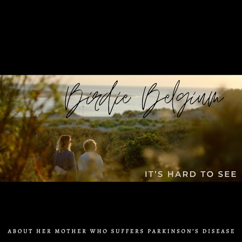 Birdie Belgium is releasing ‘It’s Hard to See’