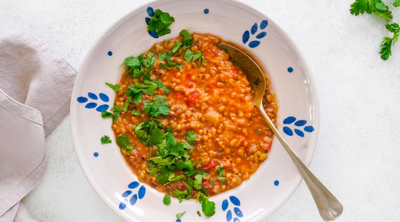 Mung Bean and Eggplant Curry recipe