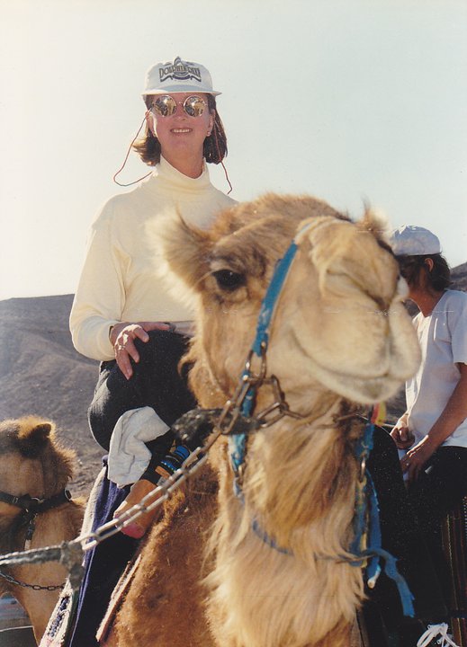 jc_camel_2001