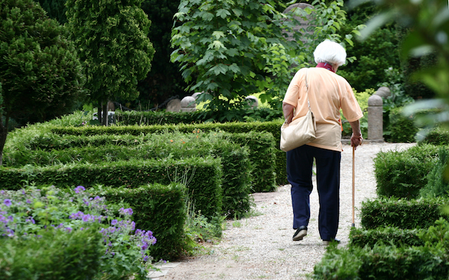 Elderly woman walks on path