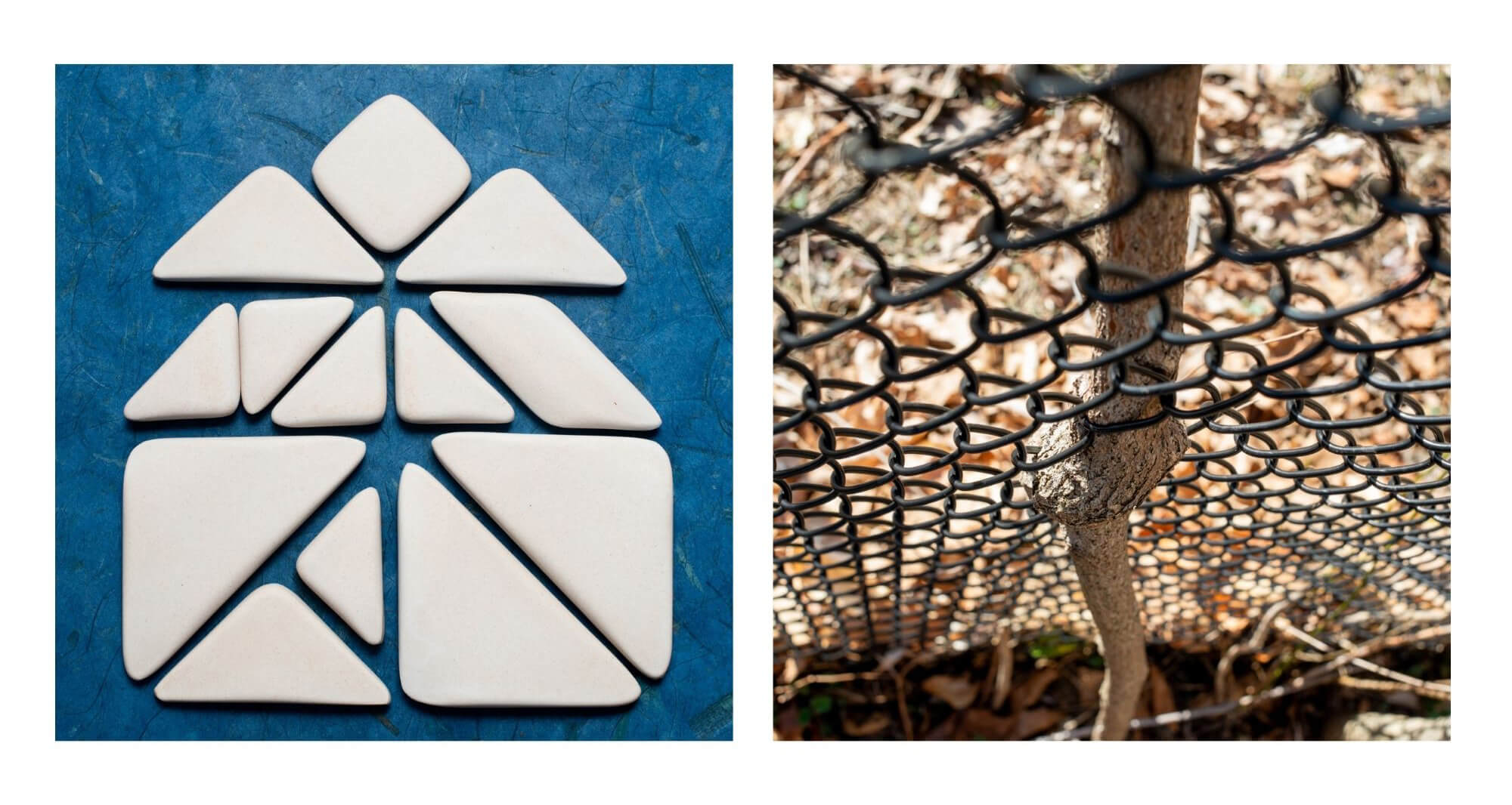 Photographs by Torrance York including working inspired by a kaleidescope and a tree growing through a barrier.