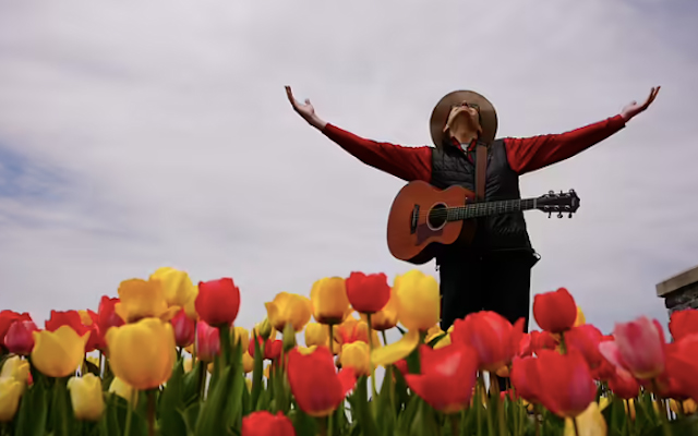 A guitarist in a field of tulips.
