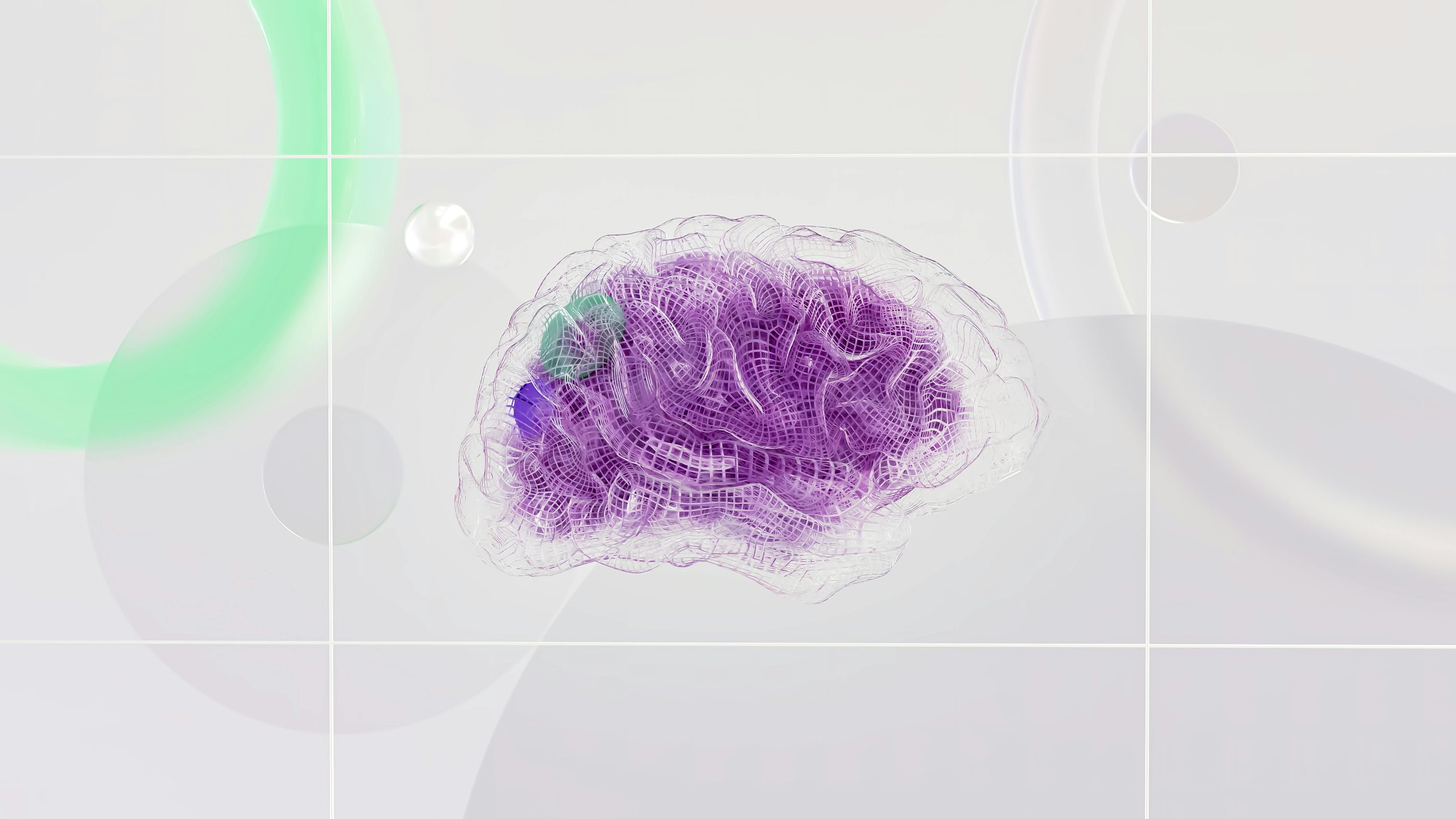 scientific illustration of the brain